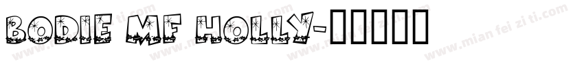 Bodie MF Holly字体转换
